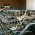 Trande Assurance China Factory Design Quail Laying Cage